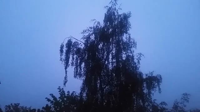 ПОСЛЕДНИЙ ДЕНЬ ЛЕТА 31 8 19... смотреть онлайн
