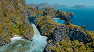 Матрица П.П. Гаряева • Коррекция Общего Обмена Веществ и Работы Пищеварительного Тракта • Оригинал