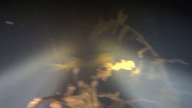 Осенний Сазан и крупные караси в небольшой реке смотреть онлайн