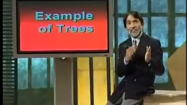 CS402_Lecture33 смотреть онлайн