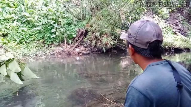 YA TUHAN‼️TERNYATA IKAN NGUMPUL DI SINI смотреть онлайн