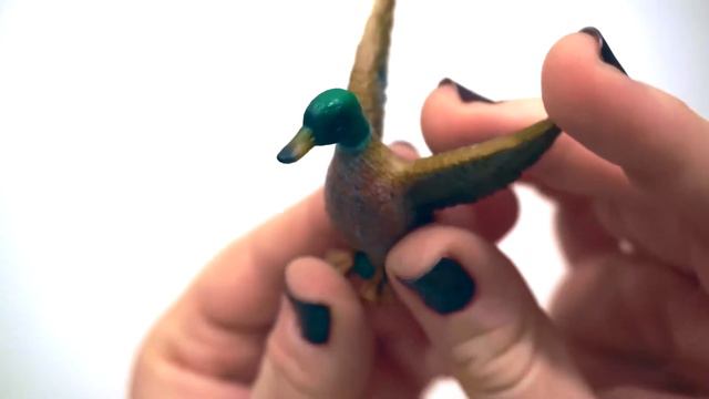 Дикий селезень, S, Collecta (Коллекта) смотреть онлайн