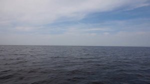 Рыбалка на Рыбинском водохранилище в окресностях с. Легково 02.07.2016