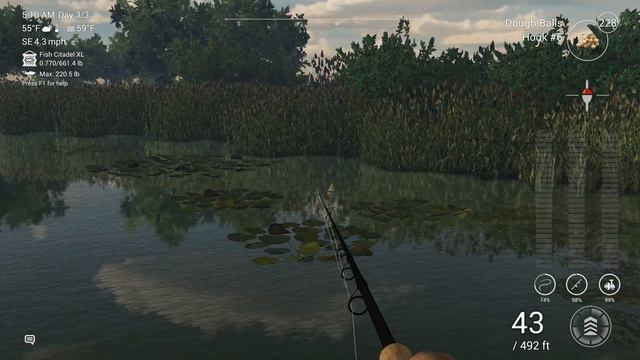 Fishing Planet - Everglades - Florida - Common Golden Shiner смотреть онлайн