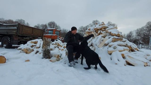С Новым 2024 годом, Друзья! Будьте здоровы и счастливы! смотреть онлайн