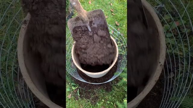 Как использовать старый кирпич на участке смотреть онлайн