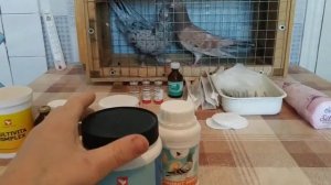 Вакцинация голубей против сальмонеллёза и болезни Ньюкасла вакциной Виросальм!