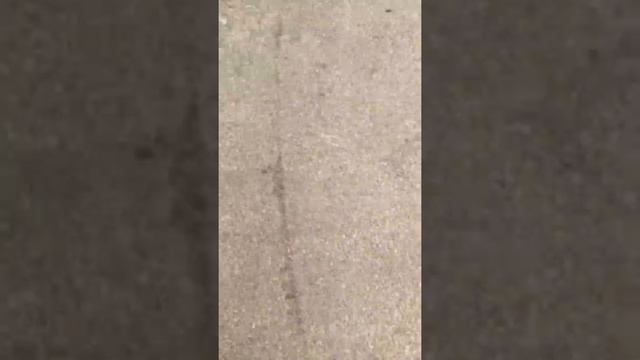 Nissan xtrail 2019 review смотреть онлайн