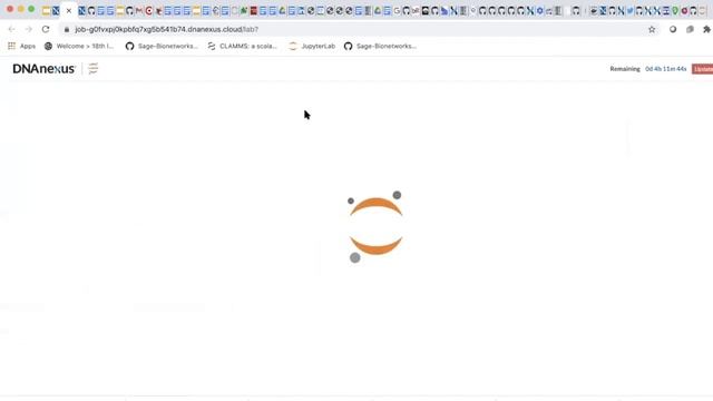 JupyterLab on DNAnexus - Coffee Break смотреть онлайн