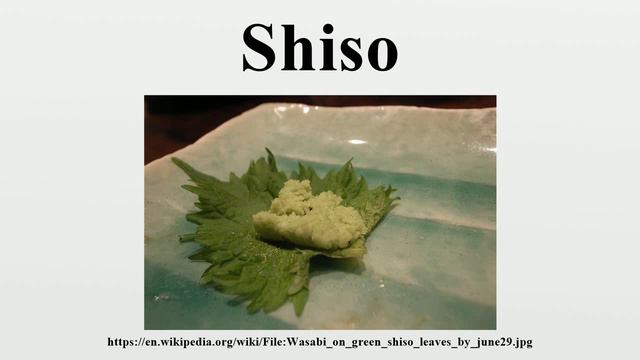 Shiso смотреть онлайн
