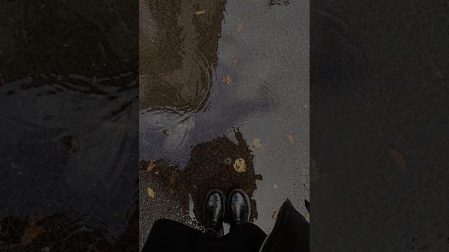 Ирина Самарина-Лабиринт. Ты знаешь, я люблю тебя дождями. Читает А. Каракишиева. Музыка Э. Туниянц смотреть онлайн