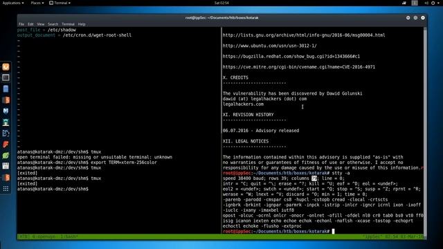 HackTheBox - Kotarak смотреть онлайн