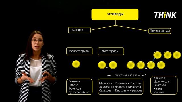 Химический состав клетки: Углеводы (3/4) | Подготовка к ЕГЭ по Биологии смотреть онлайн