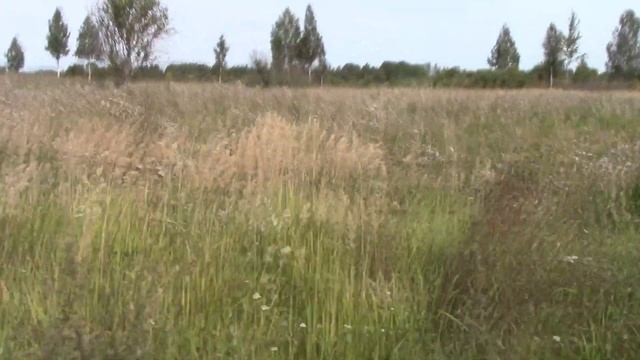 Сломал машину ! Активация . смотреть онлайн