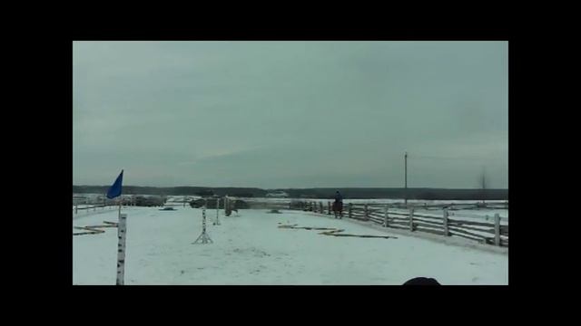 Жуковка ТВ: АРХИВ. 2016-й. "Фарт": конные "Весёлые старты" смотреть онлайн
