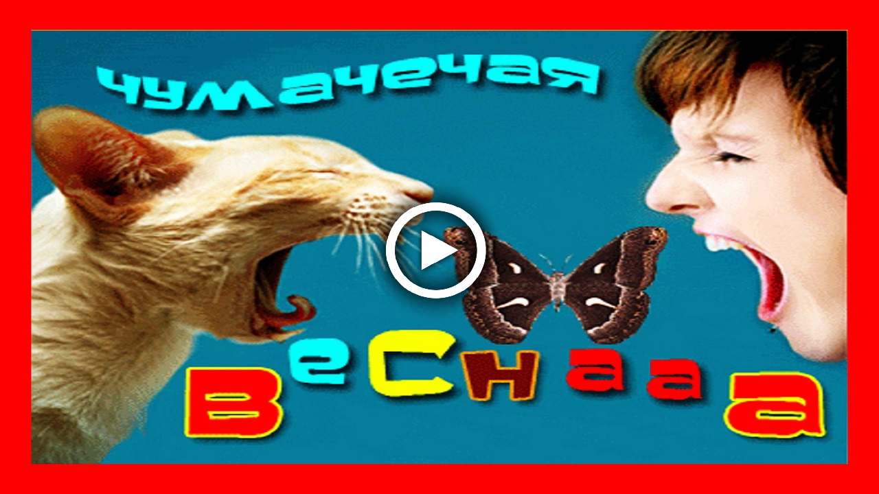 Опять пришла весна! Чумачечая весна.mp4 смотреть онлайн