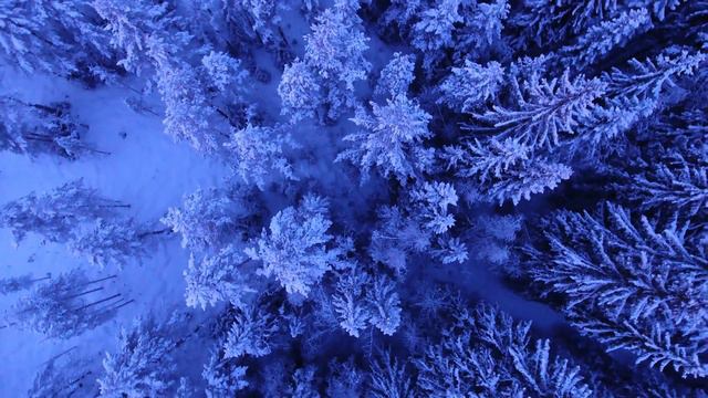 The Art Of Earth - Our Beautiful Planet | Nature Videos 4k смотреть онлайн