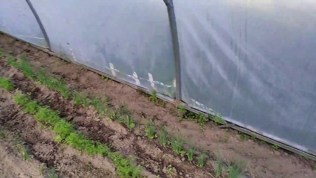 Продолжаем осенний посев. смотреть онлайн
