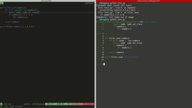 Debugging with ipdb - the normal way смотреть онлайн