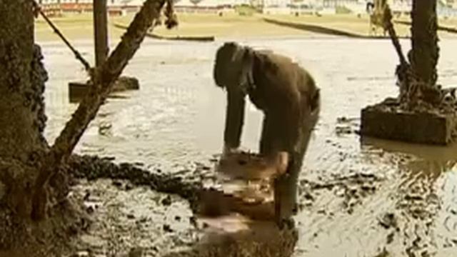 Как заработать деньги на еде смотреть онлайн