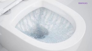 Душевой смыв унитазов Berges