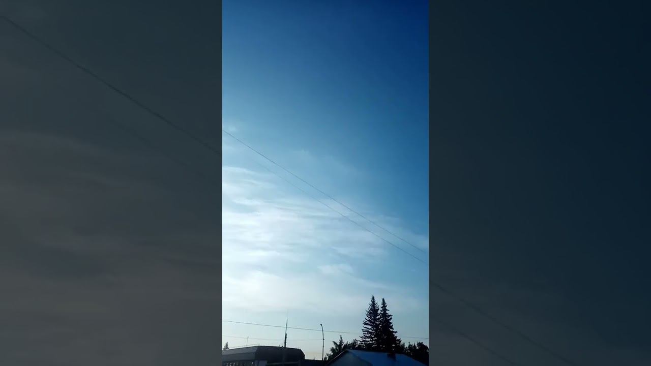 запись в 8 утра смотреть онлайн