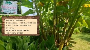 Обзор КЕМПИНГОВ Турции. Где ОТДОхНУть с ПАЛАТкой в Турции