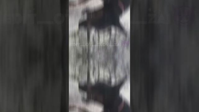 Эдит(доберман, ротвейлер)Всем доброго дня💖 ❗Идея моя❗Мне не нравится😕.. смотреть онлайн