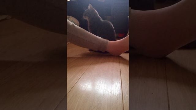 ещё у меня есть тг (ссылка в коментах) но там только рисунки смотреть онлайн
