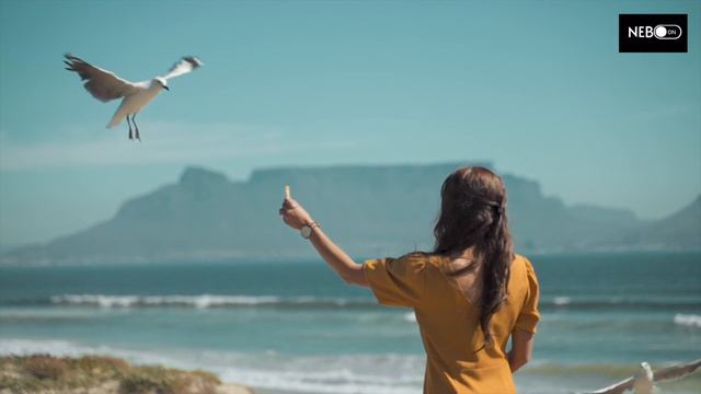 Якщо зневірився в своїй цінності, подивись це смотреть онлайн