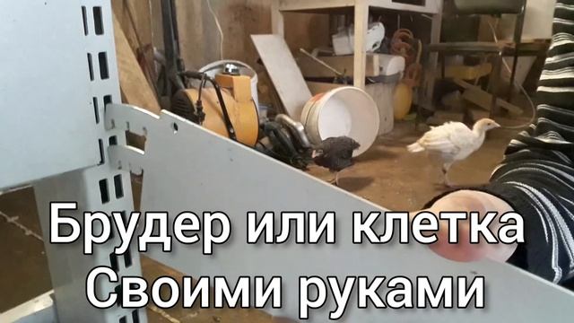 Супер идея брудер или клетка своими руками. смотреть онлайн
