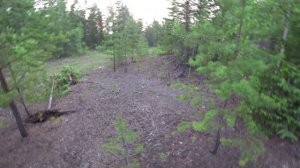 Медведь вышел прямо под лабаз! Охота на медведя на приваде.