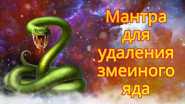 Мантра для удаления змеиного яда смотреть онлайн