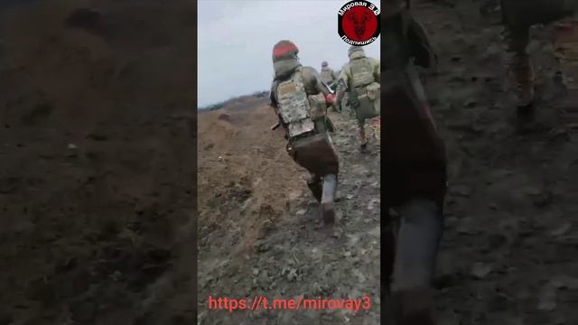 Наши! 
Возвращаются с боевого задания.