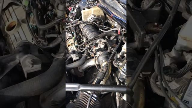 Loud whining noise while trying to start. (3.8 engine) READ COMMENTS!!!! смотреть онлайн