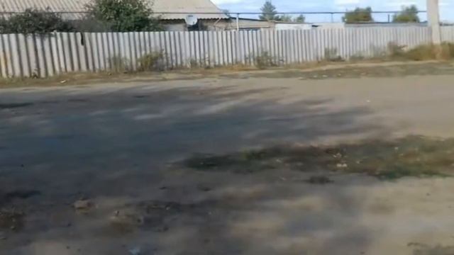 Я со своими друзьями гуляю! смотреть онлайн