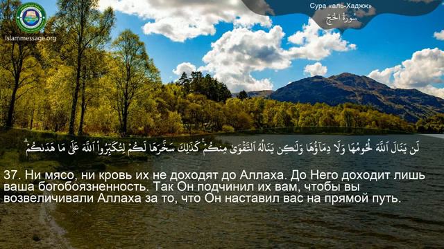 "Сура" 22. Аль Хаджж ❤ Мишари Рашид ❤ смотреть онлайн