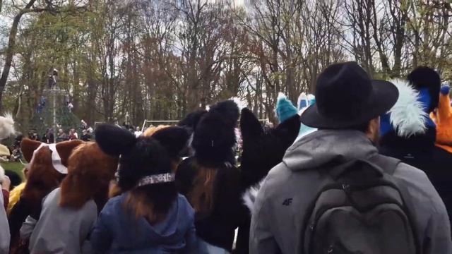 ?ВИДЫ ФУРСЬЮТОВ КАКИЕ ОНИ БЫВАЮТ?