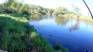 Ловля ГОЛАВЛЯ в мае на спиннинг. Этот ВОБЛЕР просто косит ГОЛАВЛЕЙ. Рыбалка на перекате малой реки.