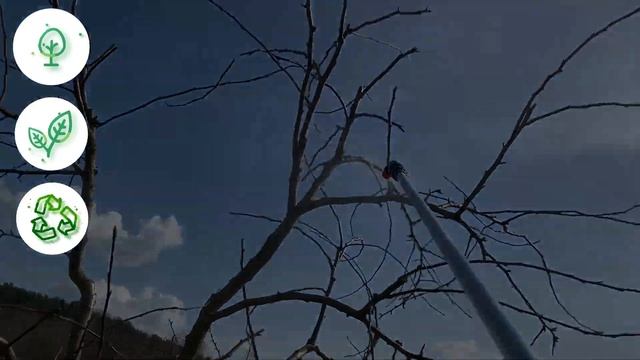 КАРБАМИД весенняя обработка сада МОЧЕВИНОЙ