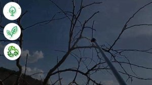 КАРБАМИД весенняя обработка сада МОЧЕВИНОЙ