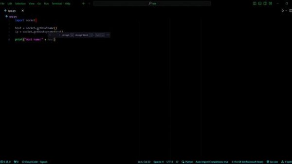как узнать свой ip address через терминал Python