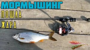 Мормышинг. Открытие сезона 2023 и сразу куча плотвы