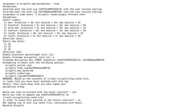 Ubuntu: eCryptfs decryption and mount problem смотреть онлайн
