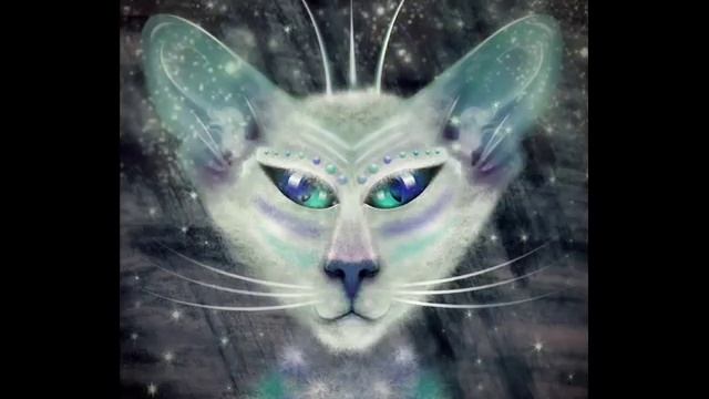 Кошки не похожи на людей! смотреть онлайн