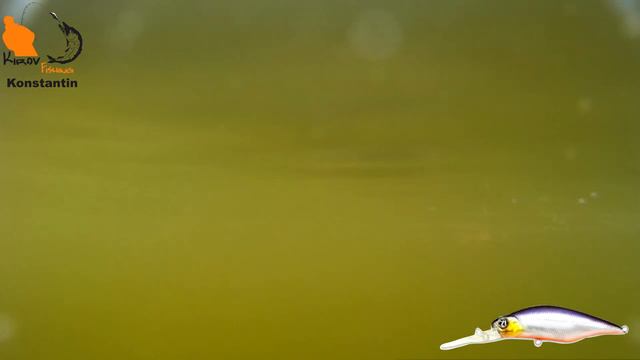 Pontoon 21 Chaos F DR в деле - KF №29