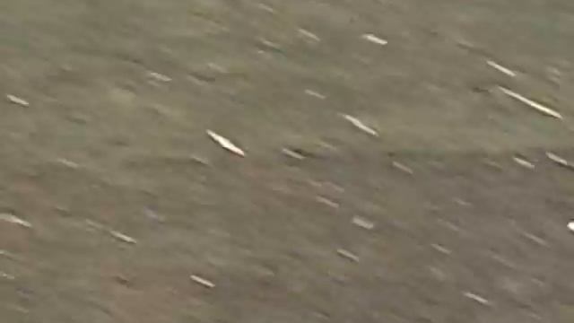 скоро праздник но не у насСПб28ап14 10 смотреть онлайн