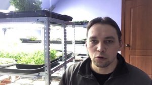 ВЫГОДНЫЙ БИЗНЕС в маленьком городе. Бизнес на микрозелени