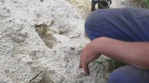 Приспособление для посадки рассады