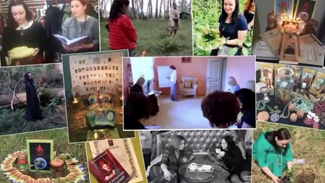 Отзыв о Алене Полынь смотреть онлайн